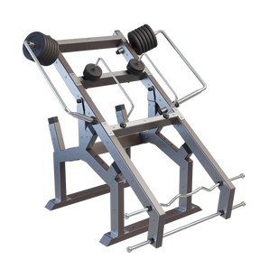 Outdoor biceps- en tricepsstation met dubbele bewegingsarmen en schijfgewichten